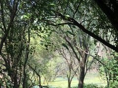 -西湖风景区-江洋畈生态公园