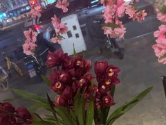 -一间森林酒店(上海人民广场店)
