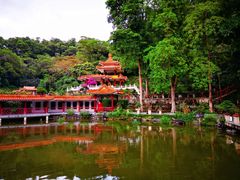 -深圳仙湖植物园