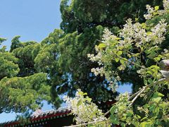 -湛山寺