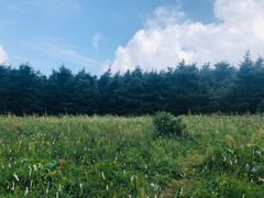 -白草畔自然风景区