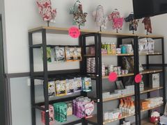 -伟伟宠物医院·瑞派猫友好医院·猫科(光谷店)