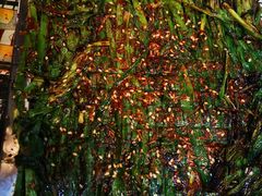 -范老二肉串饺子馆(中街店)