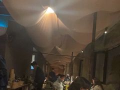 -毛辣果·酸