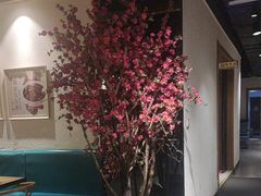 -黑家养生粥道馆(新世纪店)