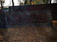 -东郊湿地公园
