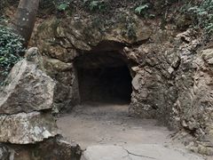 -上海佘山国家森林公园天马山园