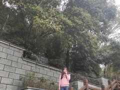 -潜山国家森林公园