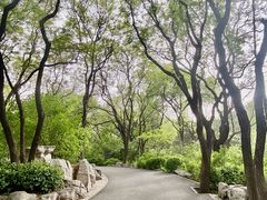 -千佛山风景名胜区