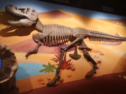 -北京科学中心儿童乐园