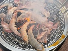 -十亩森林