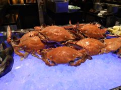 -深圳四季酒店·馥自助餐厅