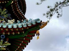 -迎泽公园