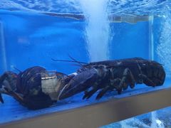 -泮金大塘(北二七路店)