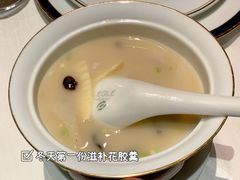 花胶黄鱼羹-新荣记(建国门外大街店)