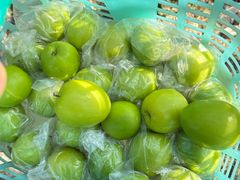 -新塘水果乐园(东洲大道店)