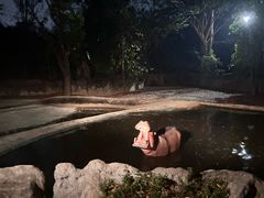 -清迈夜间动物园