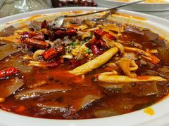 重庆毛血旺-渝信川菜(工体店)