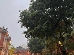 -晋江五店市传统文化旅游区