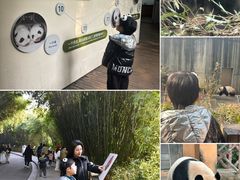 -成都保利公园皇冠假日酒店(熊猫基地店)