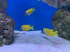 -海合安武汉极地海洋公园