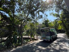 -海南槟榔谷黎苗文化旅游区