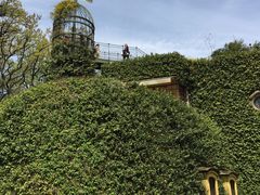 -三鹰之森吉卜力美术馆