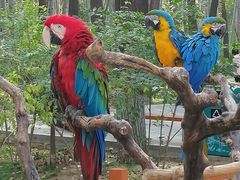 -北京野生动物园