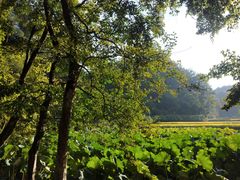 -韶山毛泽东同志故居