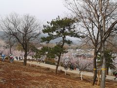 -北京西山国家森林公园