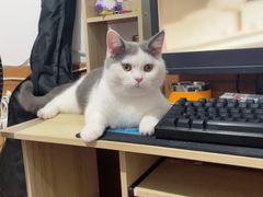 -沐森澜·轻奢足道·养生·SPA