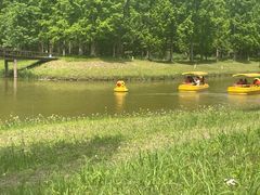 -黄海国家森林公园