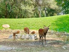 -北京野生动物园