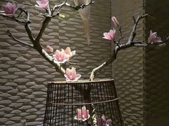 -浅深(北京北四环精品店)
