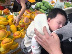 -鸿港海鲜批发市场