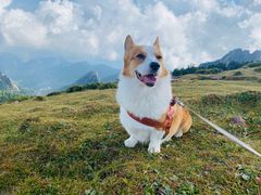-芦芽山旅游度假区