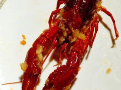 金汤蒜蓉小龙虾-嗨辣小聚·盘锦河蟹·海鲜烧烤龙虾(盘锦十年好店)