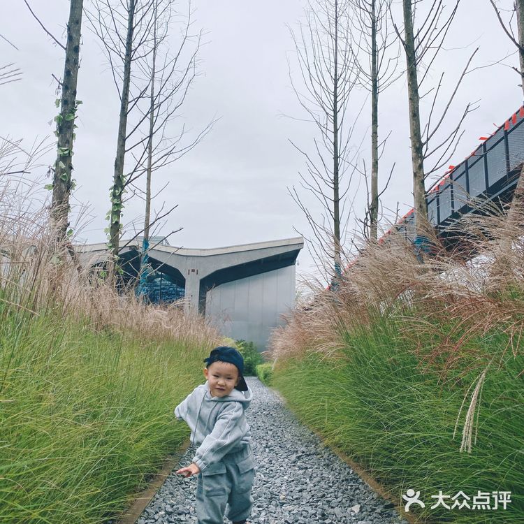 成都小众0元周边游｜在这里看见成都的粉色秋天🍁