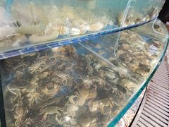 水产区-蟹谢蒸鲜自助餐厅