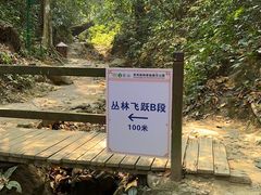 -西双版纳原始森林公园