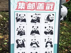 -都江堰中华大熊猫苑