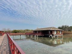 -泗洪洪泽湖湿地景区
