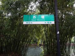 -苏堤停车场