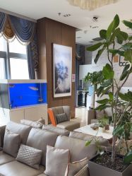 -北京米扬丽格医疗美容·联合丽格鼻整形中心