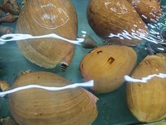 -钱塘府海鲜餐厅