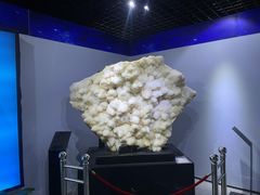 -中国地质大学逸夫博物馆