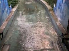 巧渡通天河-南宫五洲植物乐园