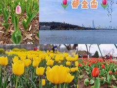 -鸡鸣汤包(广东路店)