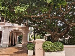 -香港大学