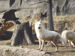 -杭州野生动物世界